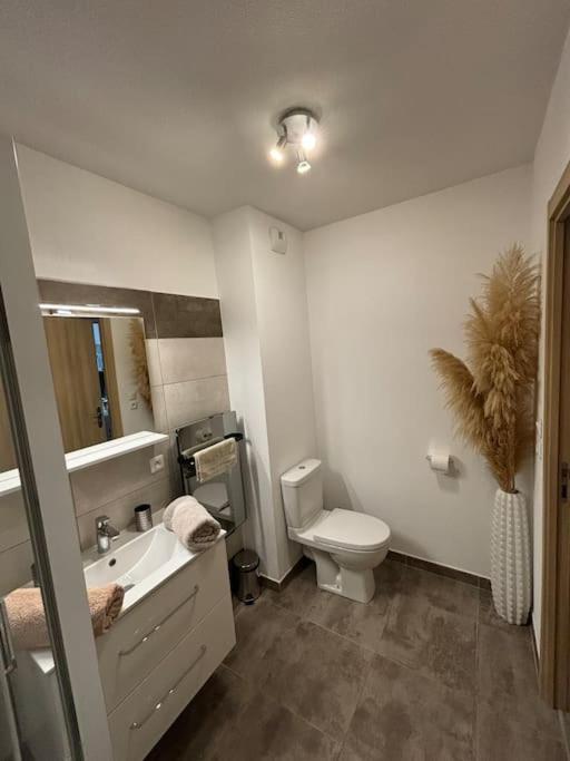 Jolie Appartement En Residence บาสเตีย ภายนอก รูปภาพ